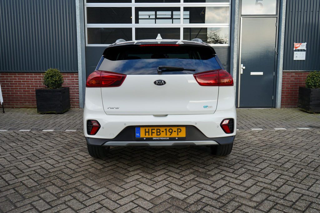 43165776-3.jpg